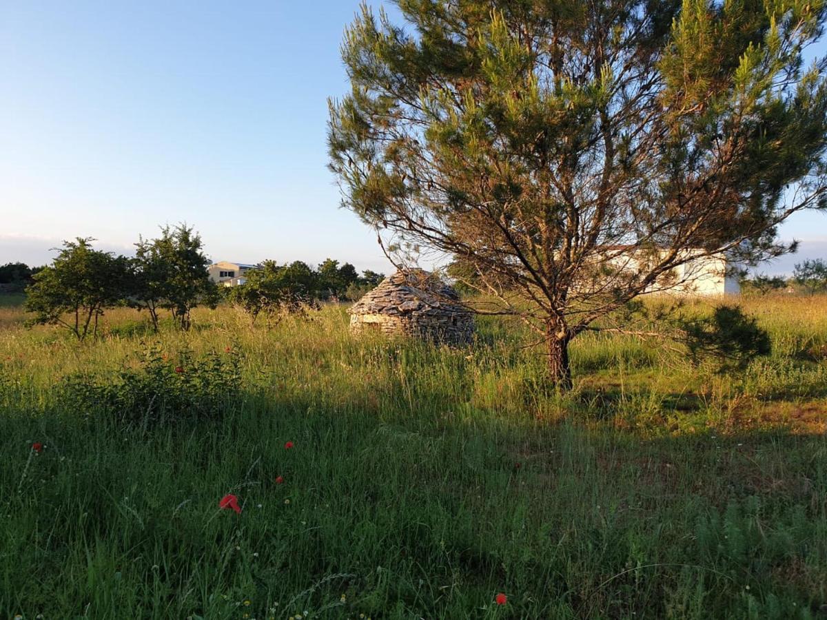 Villa Istra Divšići Exteriér fotografie